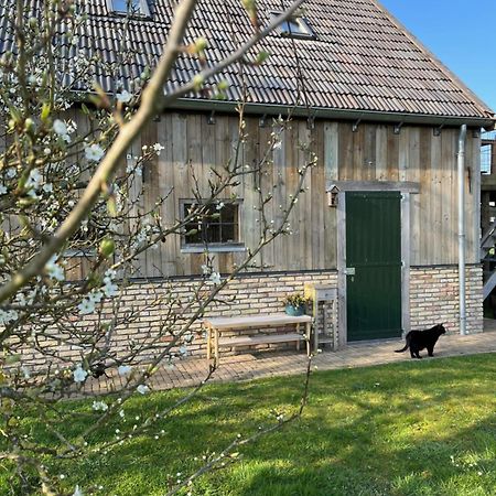 Вилла Husterheide Noordbergum Экстерьер фото
